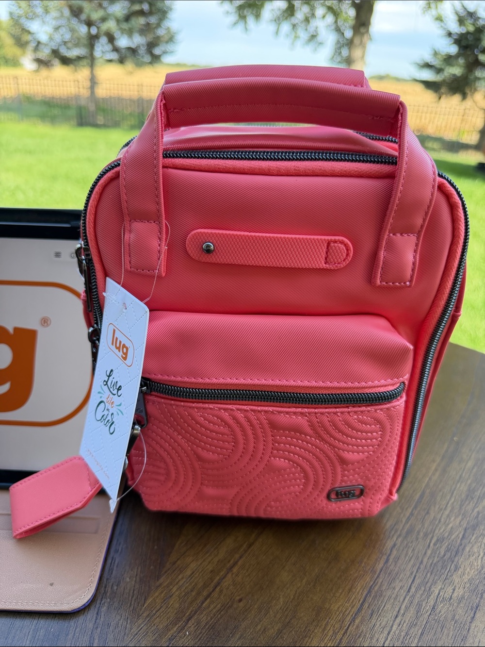 LUG pink, grapefruit, bumble 🩷🧡🩷🧡💜 Satin Luxe